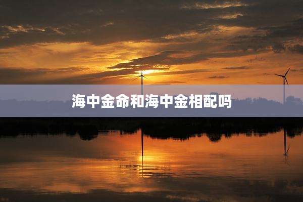海中金命和海中金相配吗