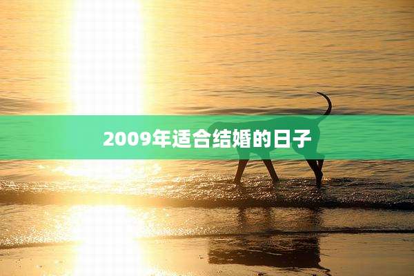 2009年适合结婚的日子