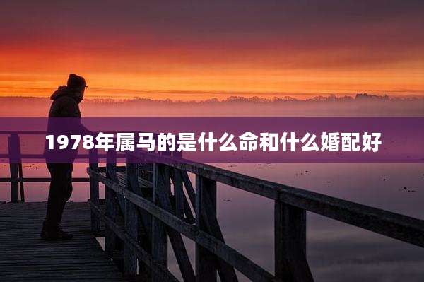 1978年属马的是什么命和什么婚配好