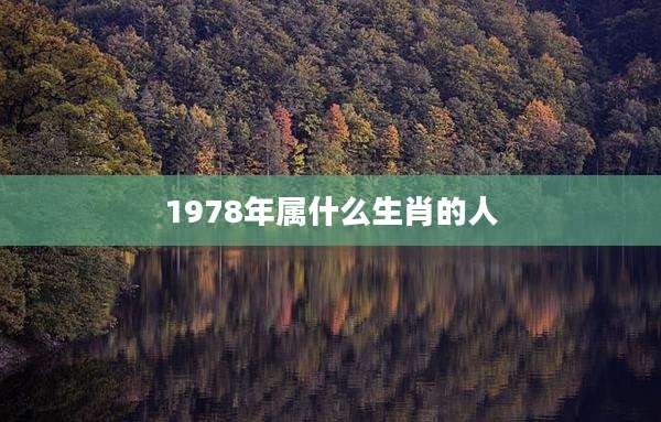 1978年属什么生肖的人