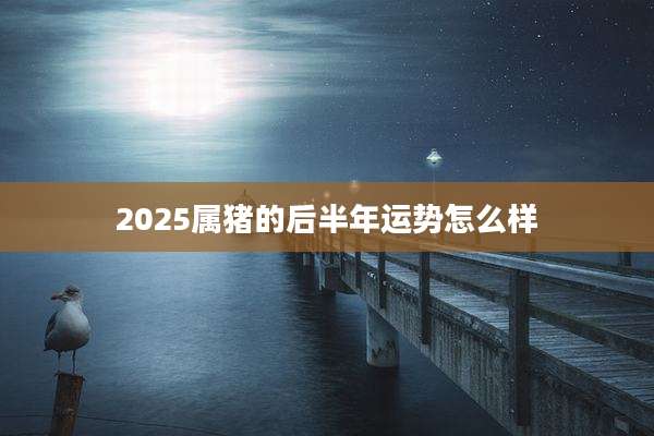 2025属猪的后半年运势怎么样