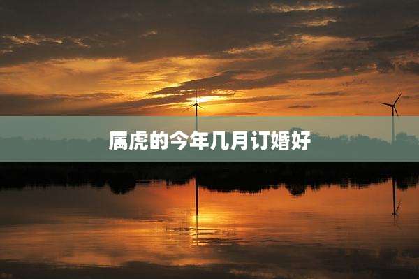 属虎的今年几月订婚好