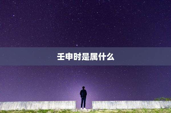 壬申时是属什么