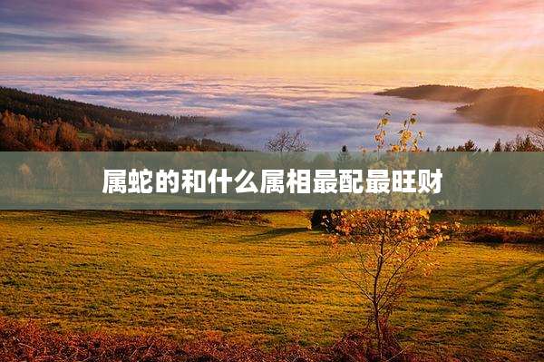 属蛇的和什么属相最配最旺财