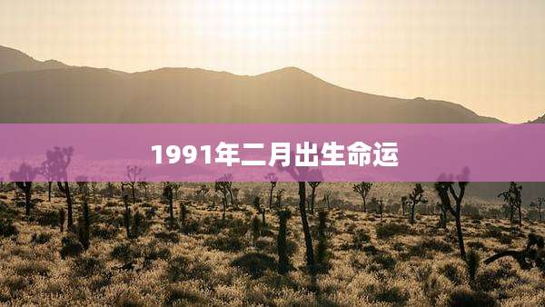 1991年二月出生命运