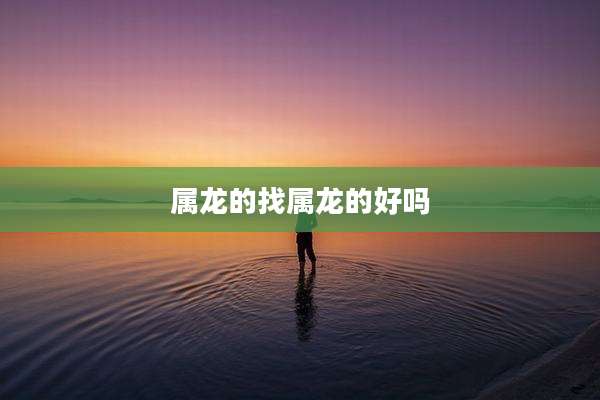 属龙的找属龙的好吗