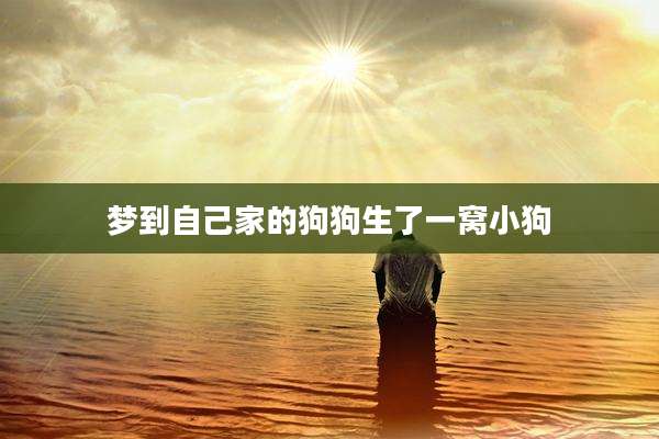 梦到自己家的狗狗生了一窝小狗