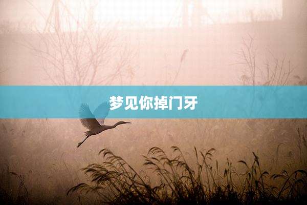 梦见你掉门牙