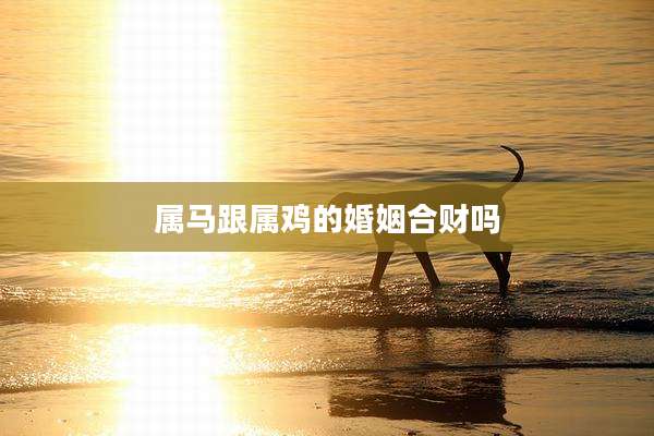 属马跟属鸡的婚姻合财吗