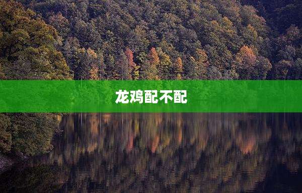 龙鸡配不配
