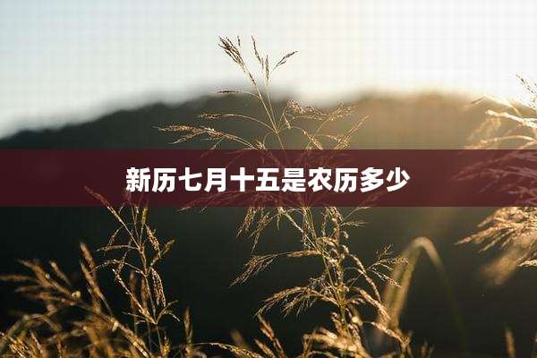 新历七月十五是农历多少