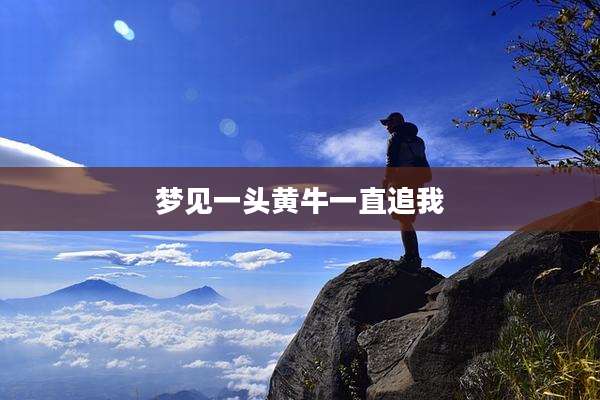 梦见一头黄牛一直追我
