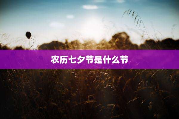 农历七夕节是什么节