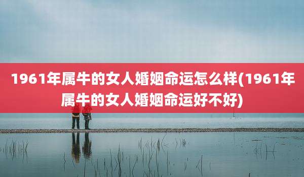 1961年属牛的女人婚姻命运怎么样(1961年属牛的女人婚姻命运好不好)