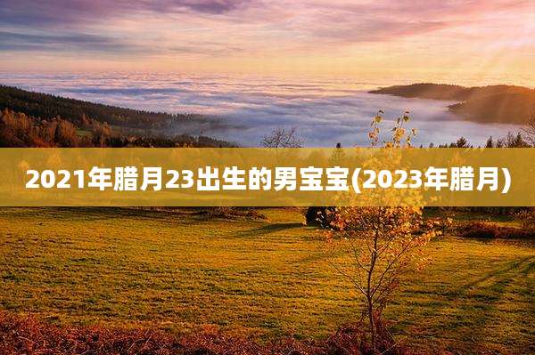 2021年腊月23出生的男宝宝(2023年腊月)