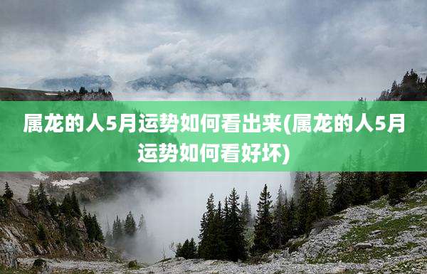 属龙的人5月运势如何看出来(属龙的人5月运势如何看好坏)