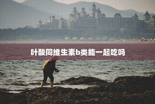 叶酸同维生素b类能一起吃吗