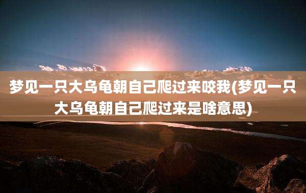 梦见一只大乌龟朝自己爬过来咬我(梦见一只大乌龟朝自己爬过来是啥意思)