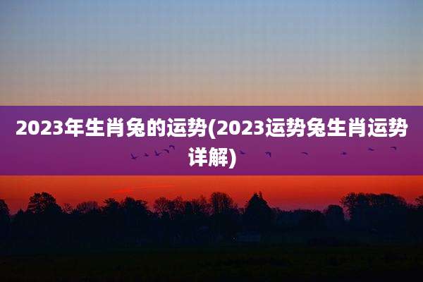 2023年生肖兔的运势(2023运势兔生肖运势详解)