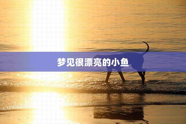 梦见很漂亮的小鱼