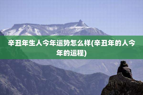 辛丑年生人今年运势怎么样(辛丑年的人今年的运程)