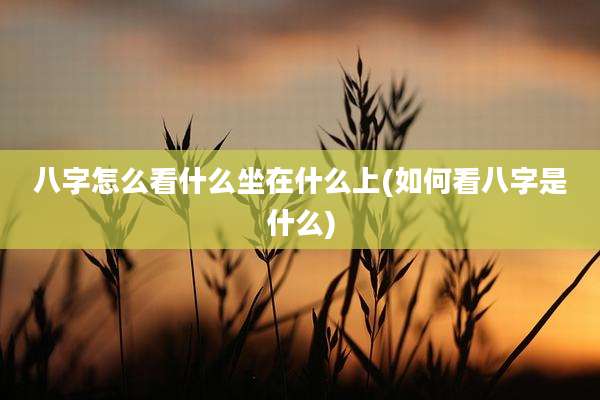 八字怎么看什么坐在什么上(如何看八字是什么)