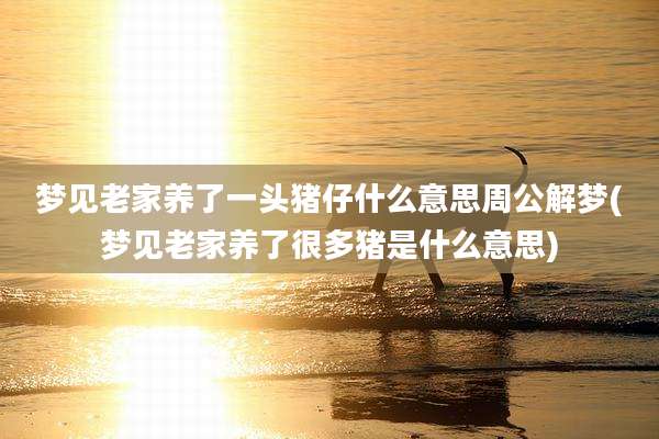 梦见老家养了一头猪仔什么意思周公解梦(梦见老家养了很多猪是什么意思)