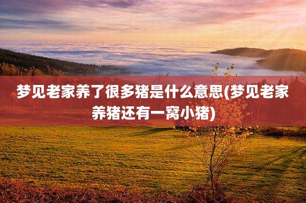 梦见老家养了很多猪是什么意思(梦见老家养猪还有一窝小猪)