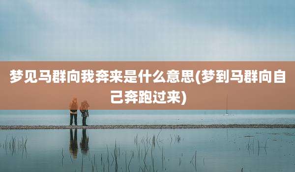 梦见马群向我奔来是什么意思(梦到马群向自己奔跑过来)