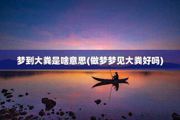 梦到大粪是啥意思(做梦梦见大粪好吗)