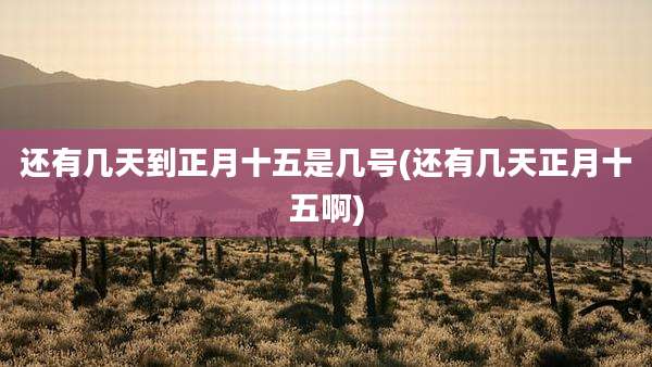 还有几天到正月十五是几号(还有几天正月十五啊)
