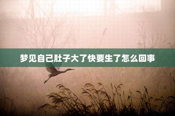 梦见自己肚子大了快要生了怎么回事