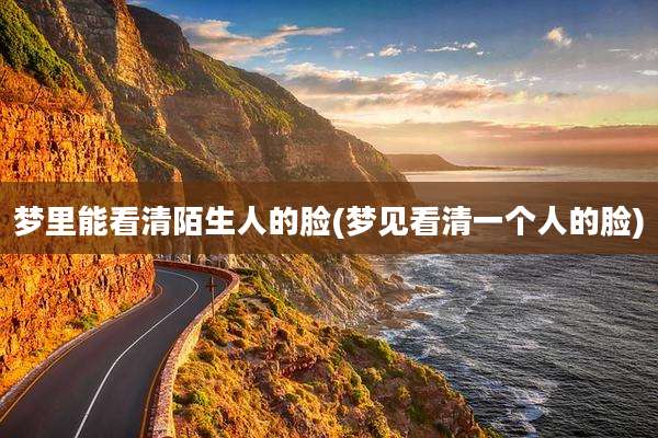 梦里能看清陌生人的脸(梦见看清一个人的脸)