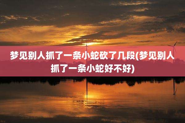 梦见别人抓了一条小蛇砍了几段(梦见别人抓了一条小蛇好不好)