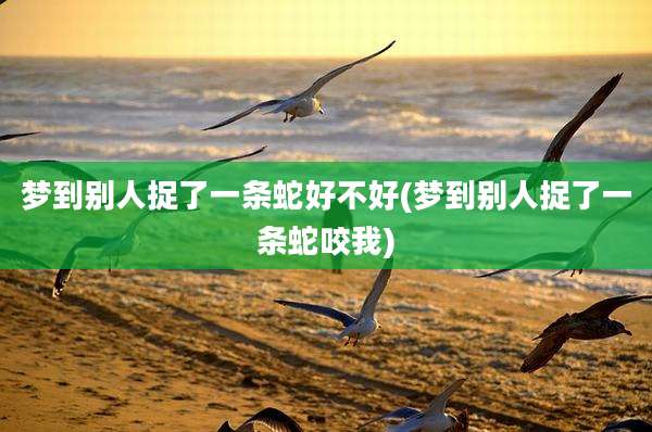 梦到别人捉了一条蛇好不好(梦到别人捉了一条蛇咬我)