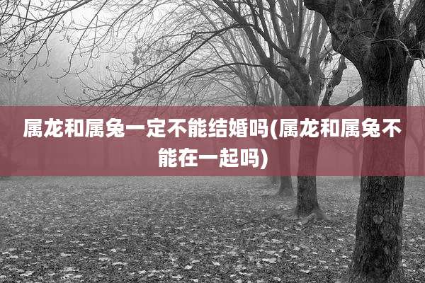 属龙和属兔一定不能结婚吗(属龙和属兔不能在一起吗)