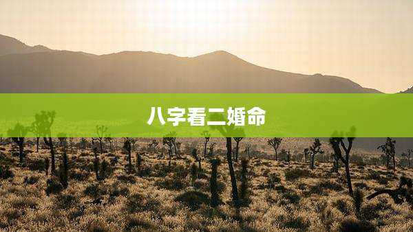 八字看二婚命