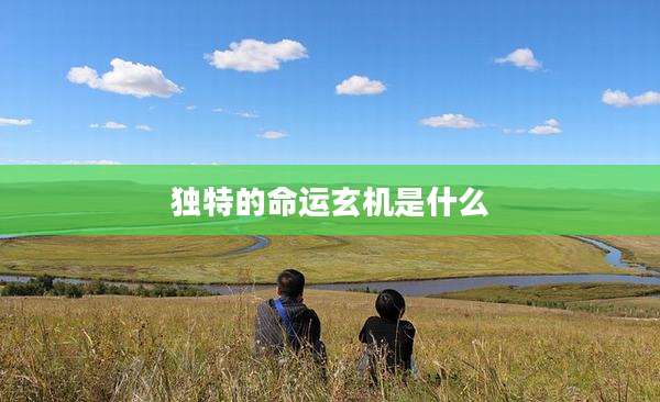 独特的命运玄机是什么