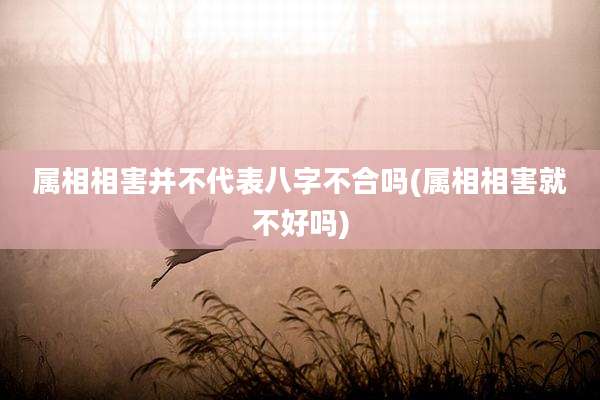 属相相害并不代表八字不合吗(属相相害就不好吗)