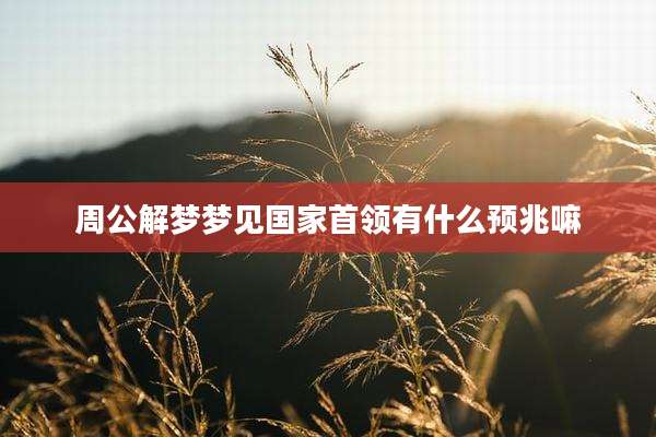 周公解梦梦见国家首领有什么预兆嘛