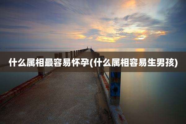 什么属相最容易怀孕(什么属相容易生男孩)