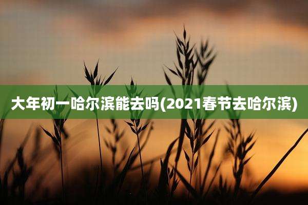 大年初一哈尔滨能去吗(2021春节去哈尔滨)