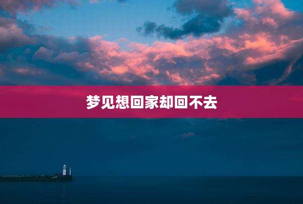 梦见想回家却回不去
