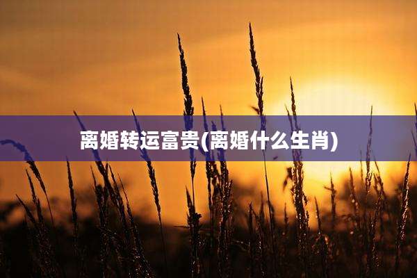 离婚转运富贵(离婚什么生肖)