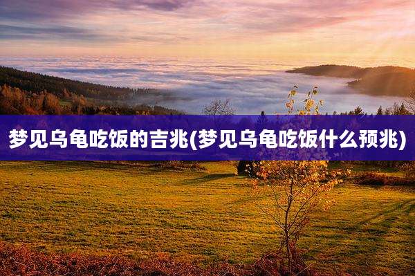 梦见乌龟吃饭的吉兆(梦见乌龟吃饭什么预兆)