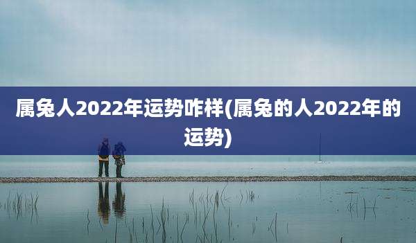 属兔人2022年运势咋样(属兔的人2022年的运势)