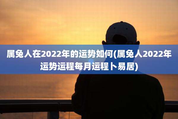 属兔人在2022年的运势如何(属兔人2022年运势运程每月运程卜易居)