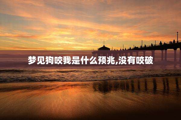 梦见狗咬我是什么预兆,没有咬破