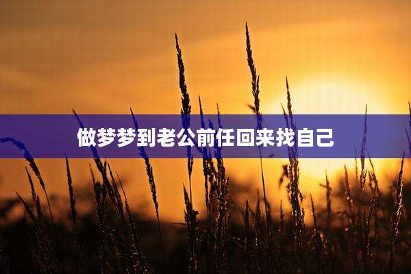 做梦梦到老公前任回来找自己