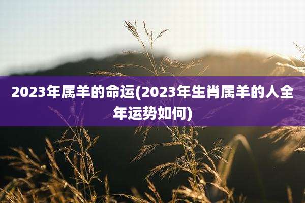 2023年属羊的命运(2023年生肖属羊的人全年运势如何)